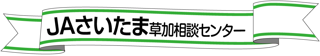 タイトルリボン