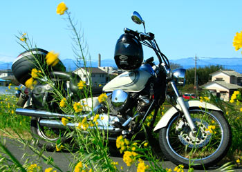 ドラッグスター