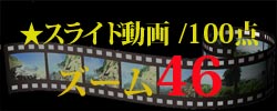 スライド動画46