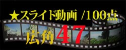 広角47