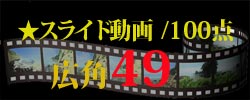 スライド動画49
