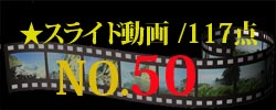 スライド動画50